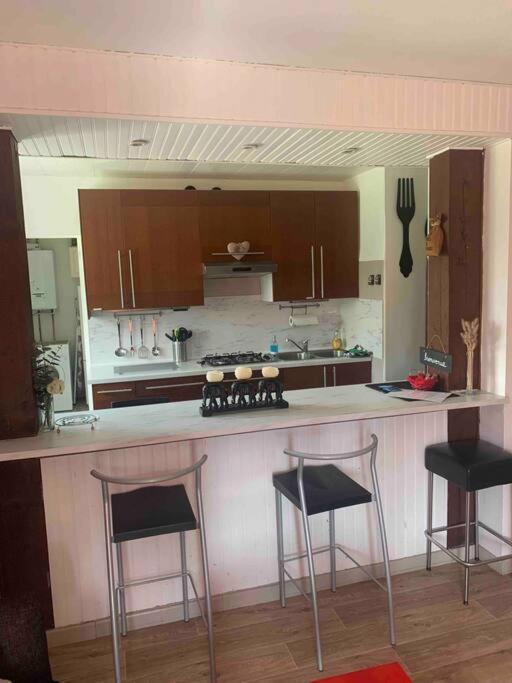 Villa 3 Chambres Parking Et Terrasse Plaisance-du-Touch Zewnętrze zdjęcie